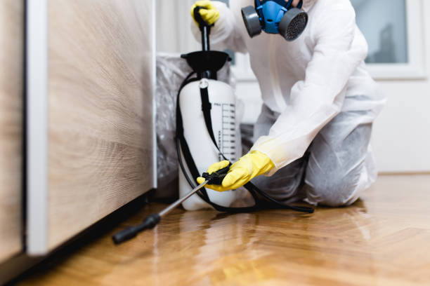 Best Pest Control for Businesses  in Ipswich, SD