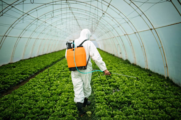 Best Pest Prevention Services  in Ipswich, SD
