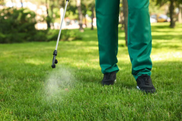Best Local Pest Control Services  in Ipswich, SD
