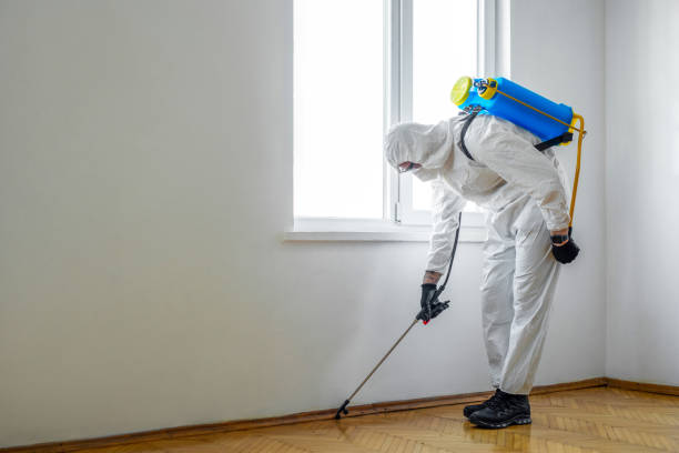 Best Residential Pest Control  in Ipswich, SD