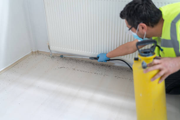 Best Bed Bug Extermination  in Ipswich, SD