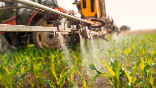 Best Pest Inspection Near Me  in Ipswich, SD