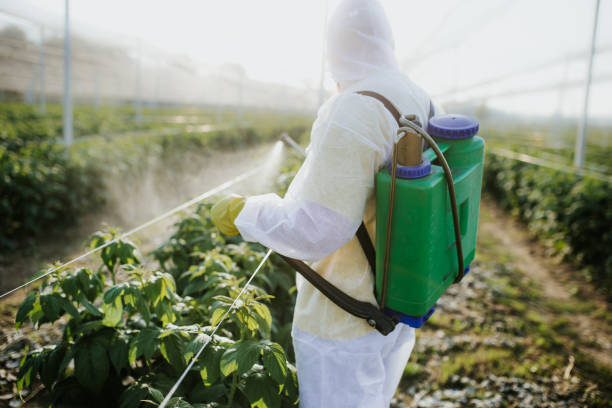 Best Pest Control Near Me in Ipswich, SD